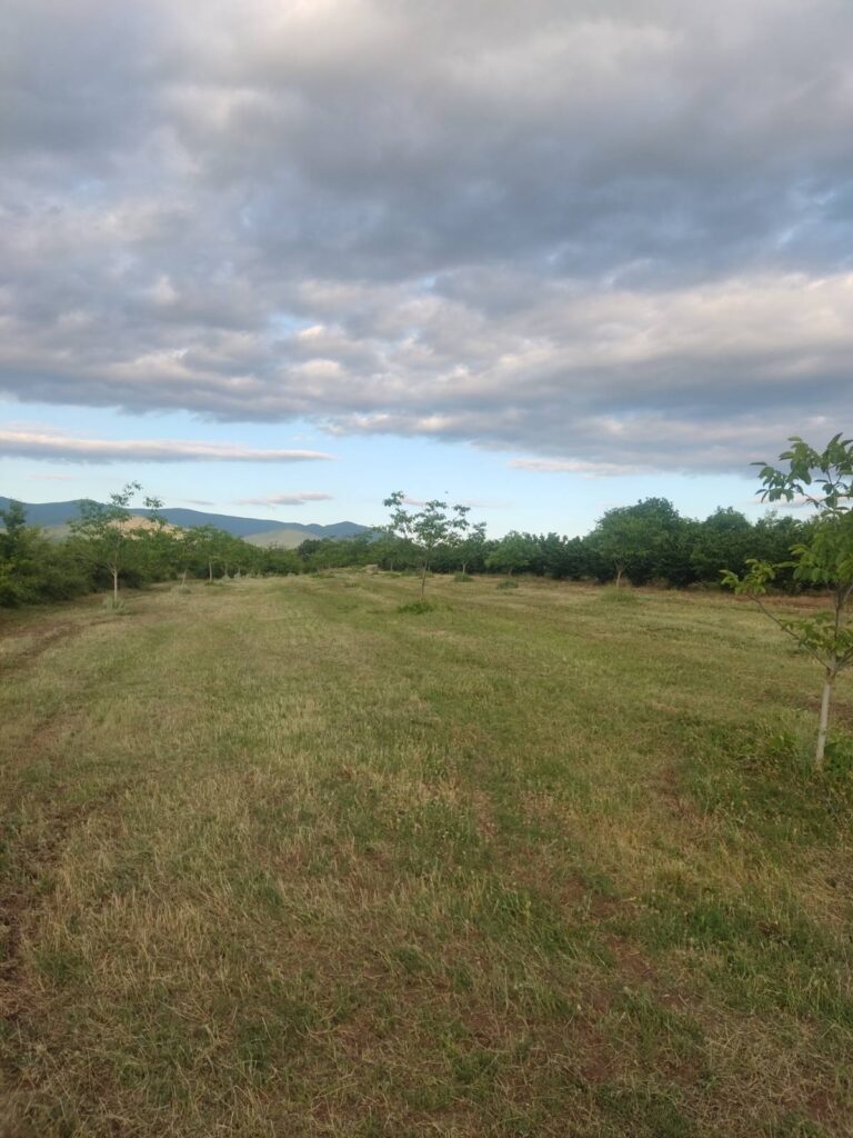 ORESAK 1